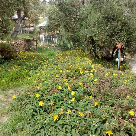 Pensionat Villa Imperia