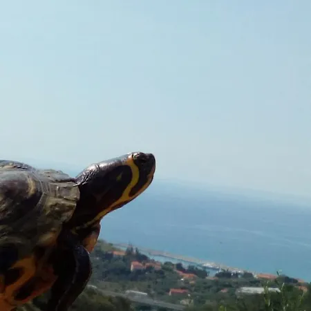 Villa Imperia Konukevi