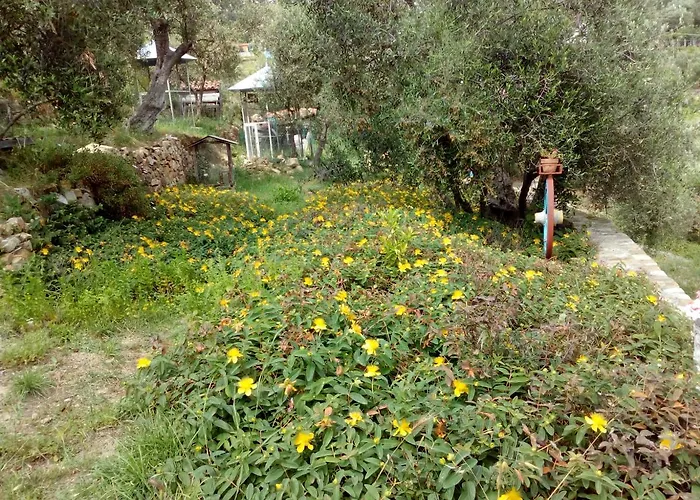 Πανσιόν Villa Imperia