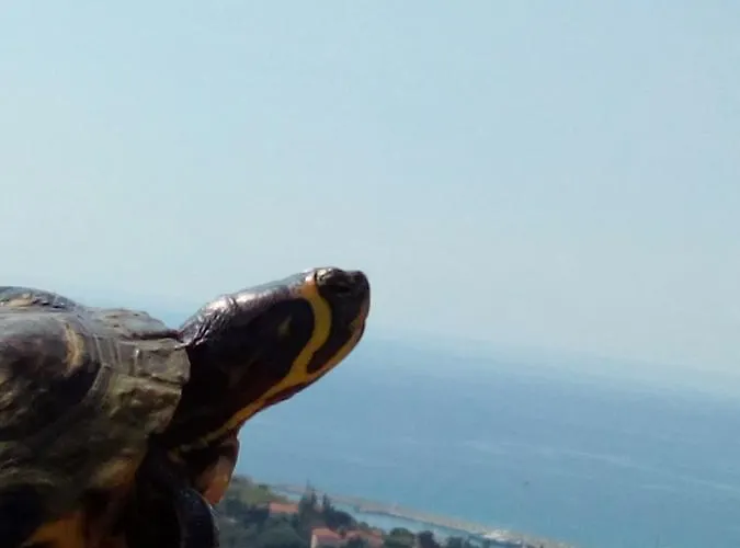 Villa Imperia Πανσιόν